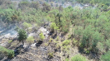 В Ростовской области тушат крупный ландшафтный пожар рядом с хутором