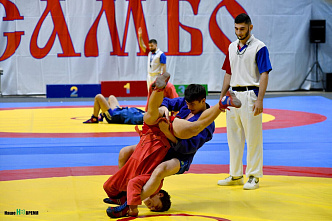  В Ростове прошел Всероссийский турнир по самбо