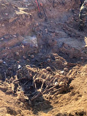 В Миллерово нашли массовое захоронение расстрелянных фашистами мирных граждан