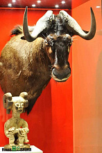 Африка из… «Поленово»