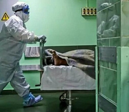 В России обновлен пик погибших от COVID-19, на Дону — рекорд заболеваемости
