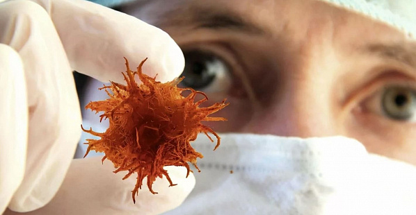 Онкология и коронавирус