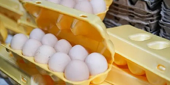 Источник фото:  iz.ru