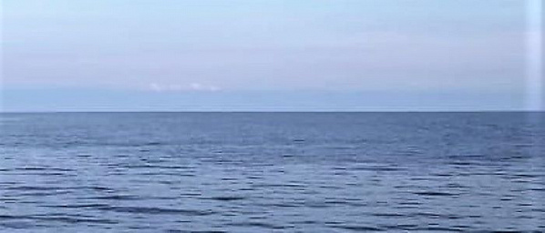 Защитить природу в любое время года!