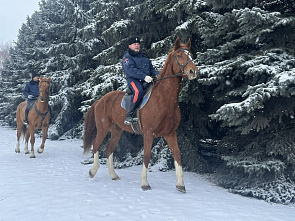 В патруль — под цокот копыт...