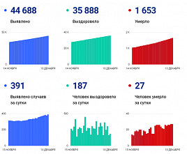 Коронавирус в Ростовской области: статистика на 13 декабря