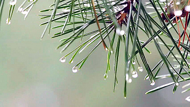 Что можно отметить в этот день