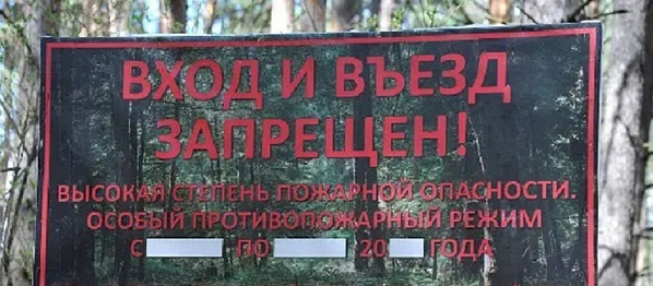 В Ростовской области введен временный запрет на посещение лесов