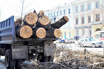 Налогоплательщик желает знать…_21387