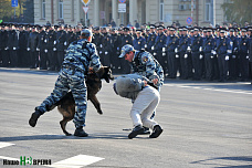 Их служба и опасна, и трудна