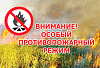 На Дону готовятся к введению особого противопожарного режима