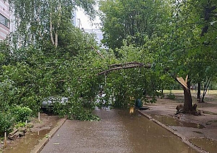 На Дону ждут ураган