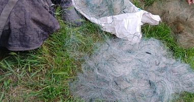 О браконьерских сетях и СВО…