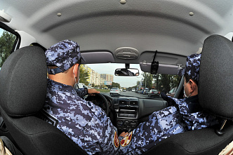 Украсть не дадим