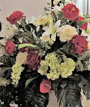 Новых творческих успехов тебе, «Волго-Дон»!