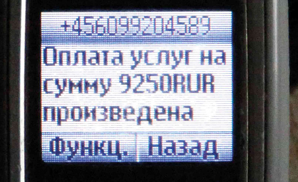 Осторожно: телефонные мошенники!