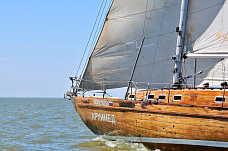 В Таганроге прошла Чеховская регата «Чайка»