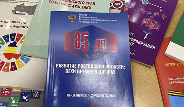 Ростовстат нарисовал портрет 85-летней Ростовской области