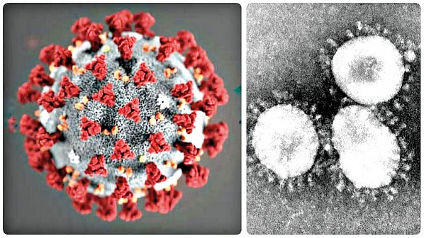 Коронавирус боится… ультразвука