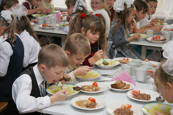 В Ростовской области с 1 сентября горячее питание получат ученики младших классов малокомплектных сельских школ