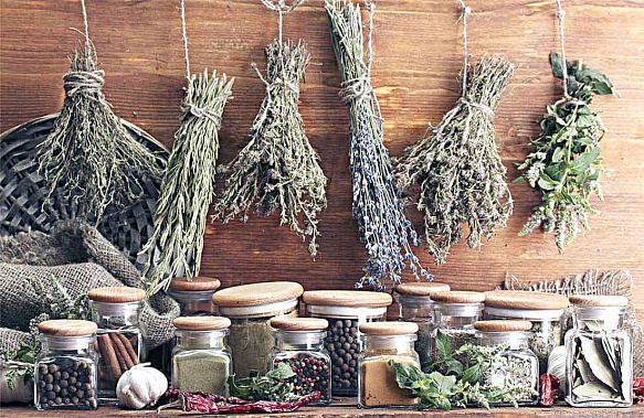 Лекарственное сырье вырастят в соседней области