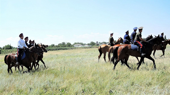 В программу Года Матвея Ивановича Платова внесут коррективы