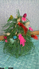 «А мне жалко ёлки рубить!»