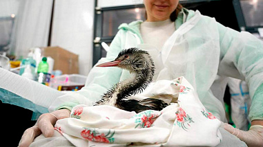 Что можно отметить в этот день