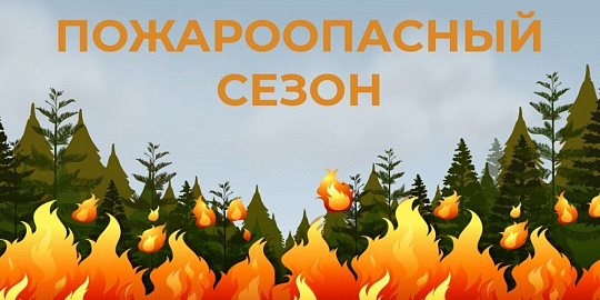 С 6 апреля на Дону объявлен пожароопасный сезон