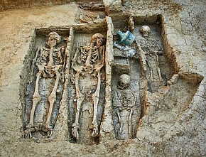 Энциклопедия Ростовской области: Н