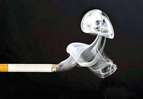 Что разрушает наши сосуды