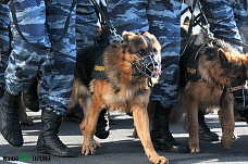 Их служба и опасна, и трудна