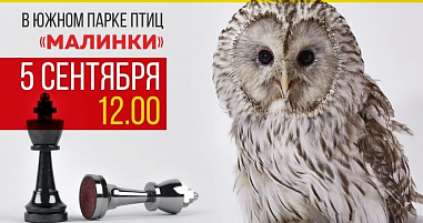 В птичьем парке «Малинки» для юных шахматистов организуют праздник