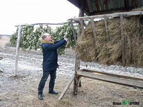 Обед по расписанию