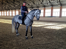 Катар, Бразилия, Несветай...