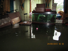 Cело Рогожкино. Азовский район. Елена Красниченко