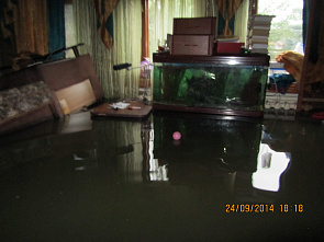 Cело Рогожкино. Азовский район. Елена Красниченко