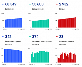 Коронавирус в Ростовской области: статистика на 13 февраля