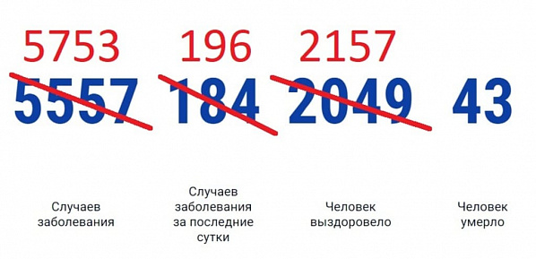 В Ростовской области выявили еще 196 новых случаев коронавирусной инфекции
