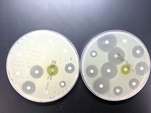 Тест за час