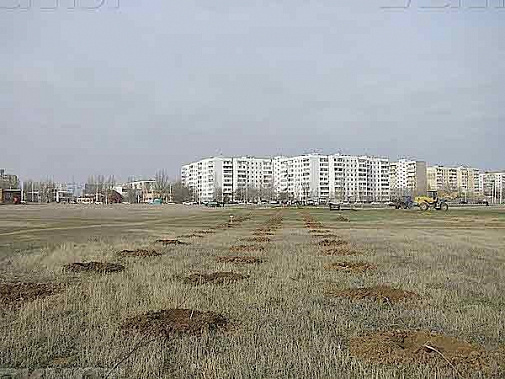 Несостоявшийся парк 