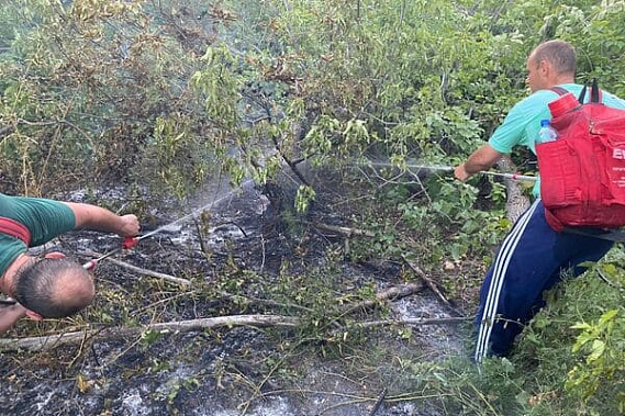 Ландшафтный пожар площадью в 1,5 гектара около Раздорской помогли потушить добровольцы