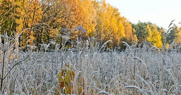 Осенние заморозки. Источник фото: kubnews.ru