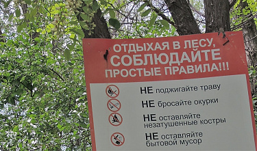 Вы стали свидетелем возгорания в лесу...