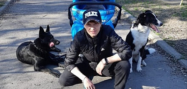 Опасных собак нет!