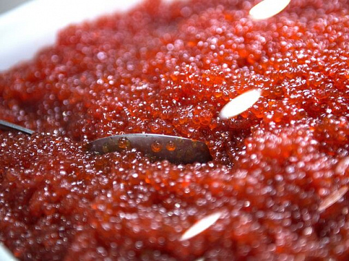 Источник фото: ria.ru.