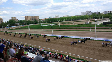 Донские власти через судебный иск регионального минимущества пытаются спасти Ростовский ипподром 