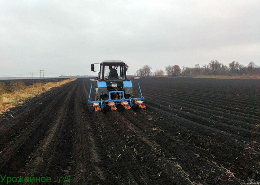 На Дону завершены сев озимых и другие сезонные полевые работы