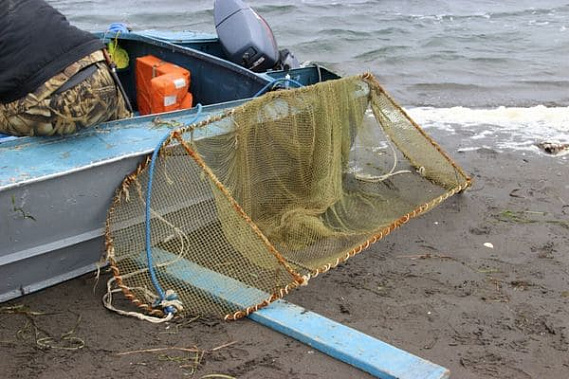 Фото для иллюстрации