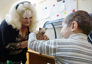 Как кошки-крошки в редакции работали